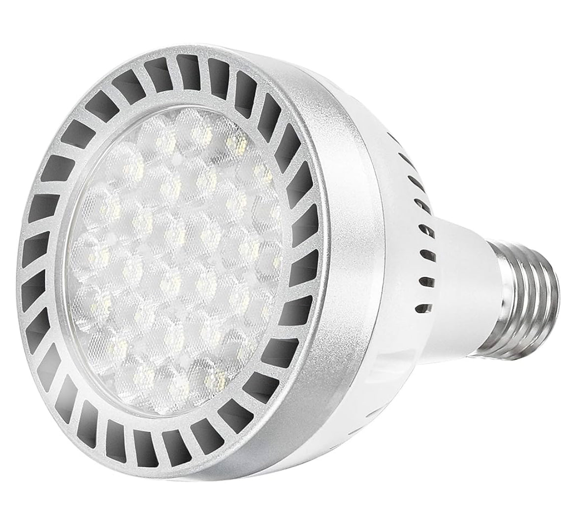LED PAR30 Lightbulb